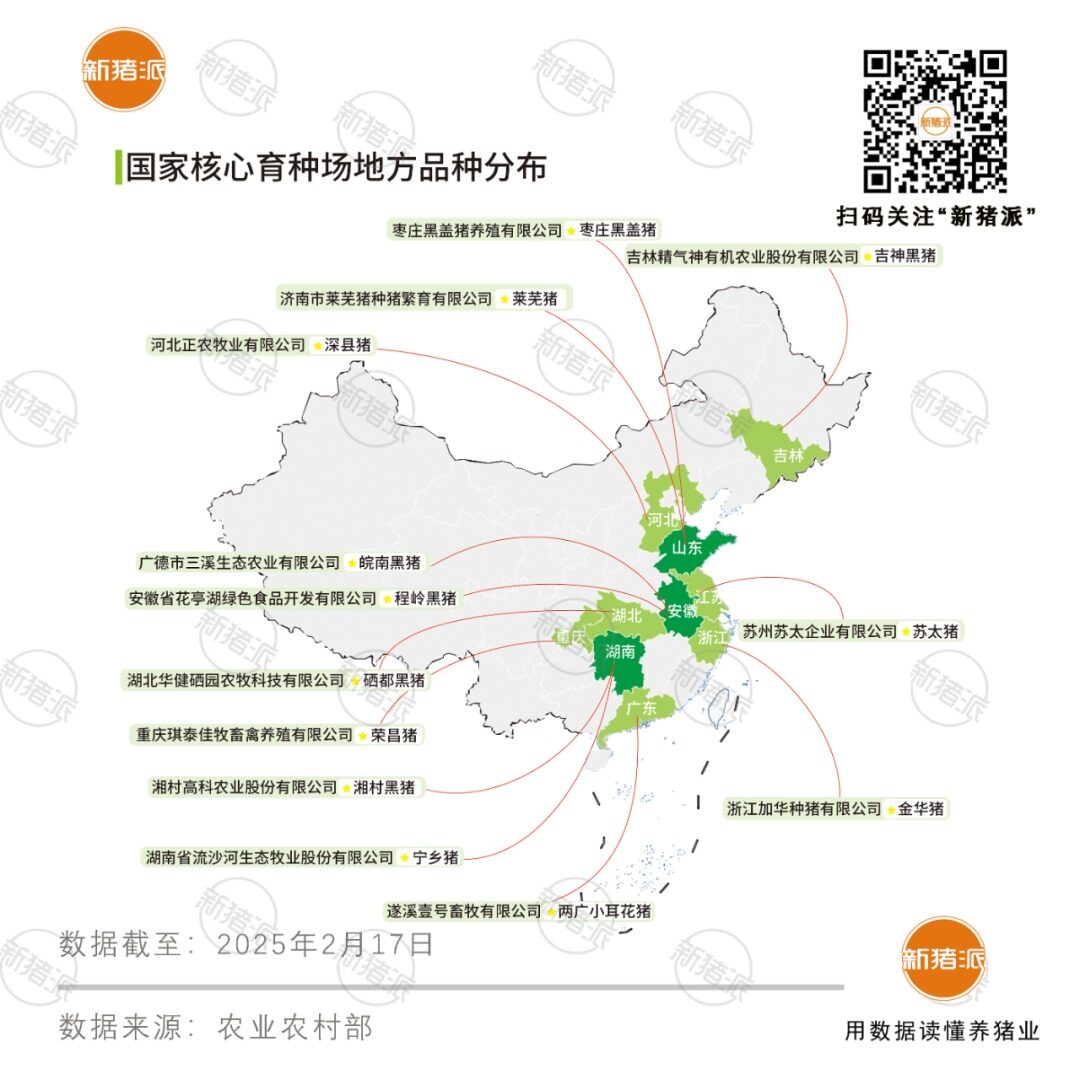 土猪复兴：139个品种及配套系，13家国家核心育种场，年出栏量2200万头左右！