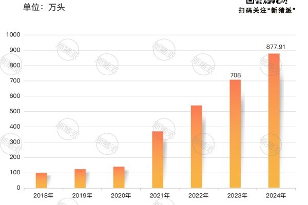 育种、营养、健康管理多端发力，德康模式竞争力凸显，2024年实现生猪出栏877万头