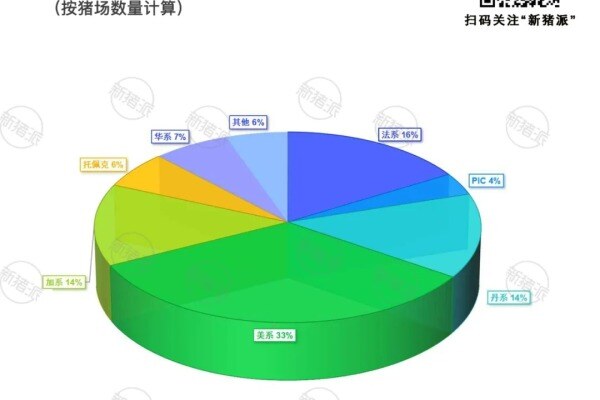 2024年种猪场品种调研分析