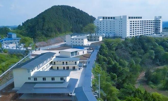 超190万生猪产能陷入困境,齐全农牧及旗下公司合并重整或将迎来新转机