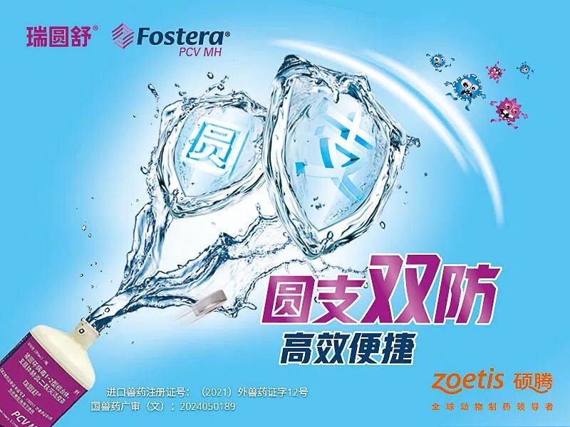 家庭农场户均收入77万元,建立15万头核心扩繁种群体系,德康农牧上市首个完整年度,年报表现亮眼