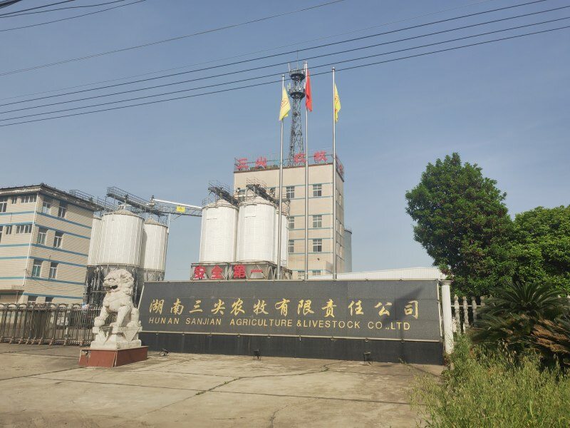 蛋鸡存栏近300万羽！三尖农牧石门基地投产，探索蛋加工迎战“买方市场”