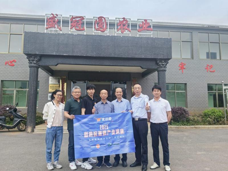 盛冠圆：从30万到80万羽/批，以品质+服务破价格内卷，致力打造青年鸡标杆