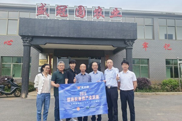 盛冠圆：从30万到80万羽/批，以品质+服务破价格内卷，致力打造青年鸡标杆