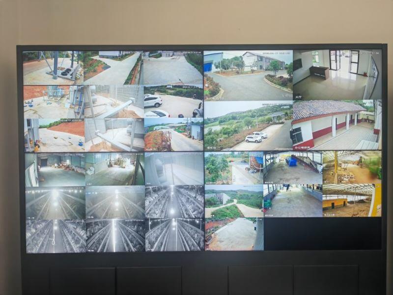 盛冠圆：从30万到80万羽/批，以品质+服务破价格内卷，致力打造青年鸡标杆