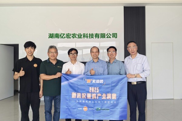 亿宏农业：与500强联姻养鸡！规划30万羽蛋鸡，走出乡村振兴新路子