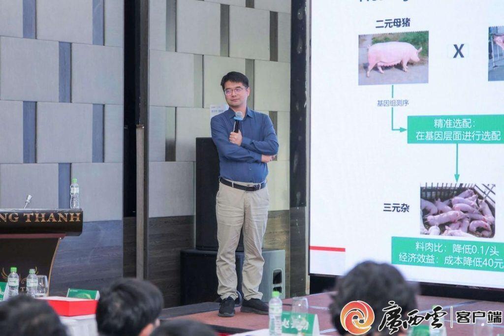 广西 “智慧畜牧” 出海：中国经验照亮东盟畜牧产业