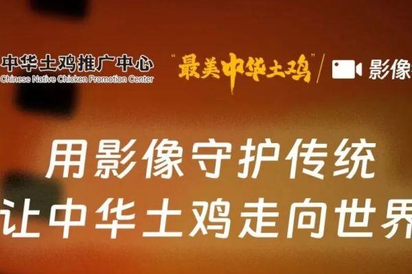 英雄帖丨用影像守护传统，让中华土鸡走向世界！