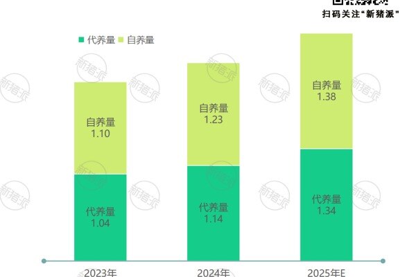 2023年-2025年TOP30集团养猪企业出栏结构