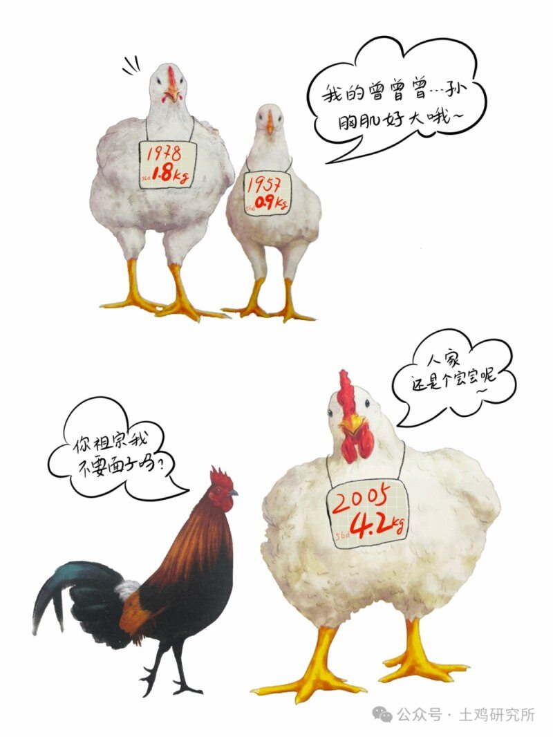 怎样通过一道菜看出你是哪里人?