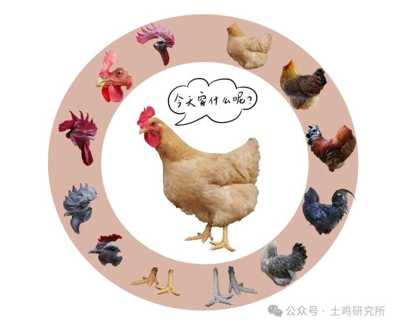 怎样通过一道菜看出你是哪里人?