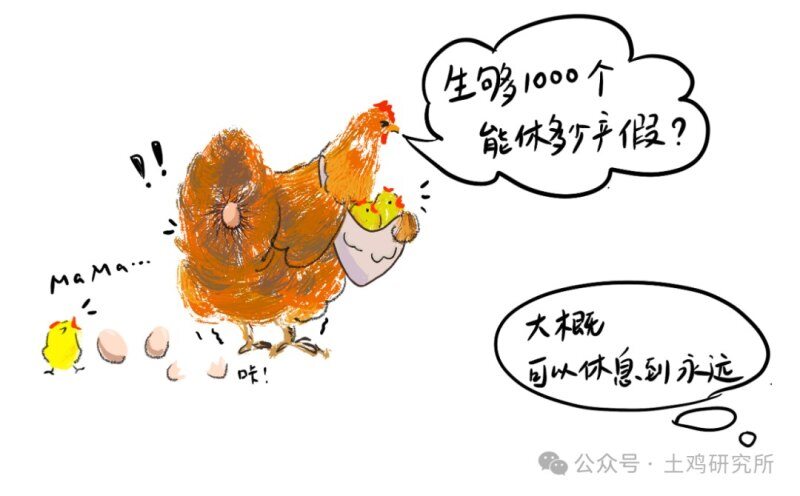 为什么鸡养越久越好吃？