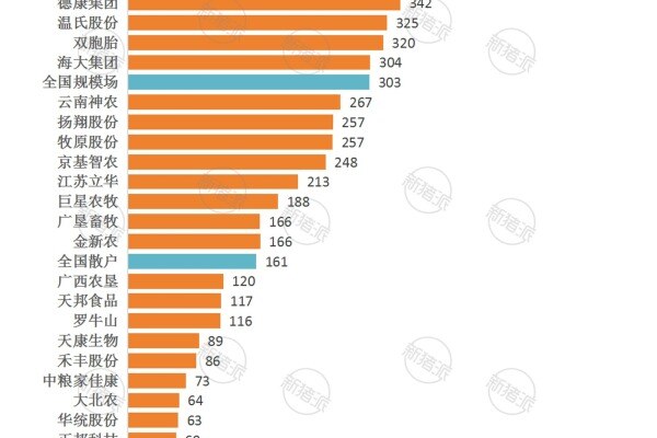2024年集团养猪企业头均盈利排行榜