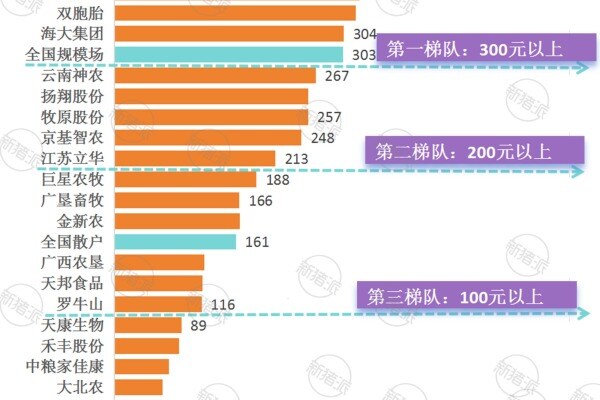 2024年猪企效率排行榜：头均盈利、人效、年综合成本解析