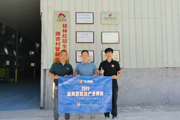 红冠农业："电商+特色蛋"组合拳年销2000万元！规划再扩100万羽存栏