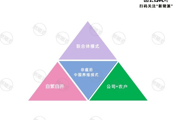 2018年后中国养猪业养殖模式分析