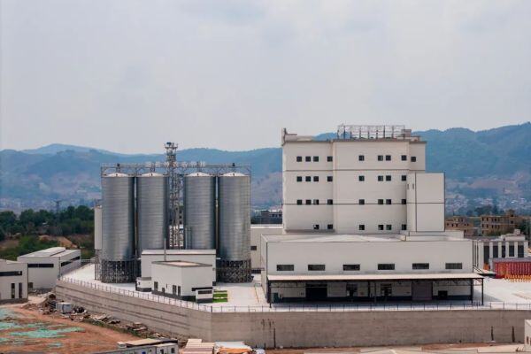 2024年神农集团产业布局以及竞争优势分析