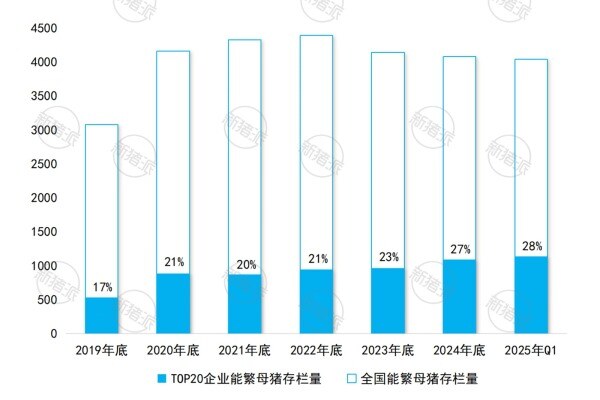 2019年-2025年Q1TOP20集团养猪企业能繁母猪存栏量及全国占比