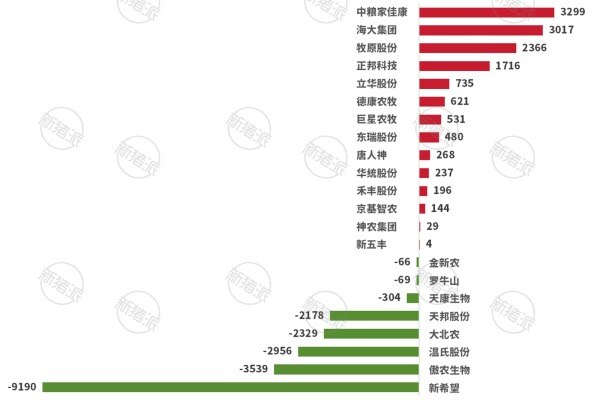 2024年集团养猪企业人员数量变化