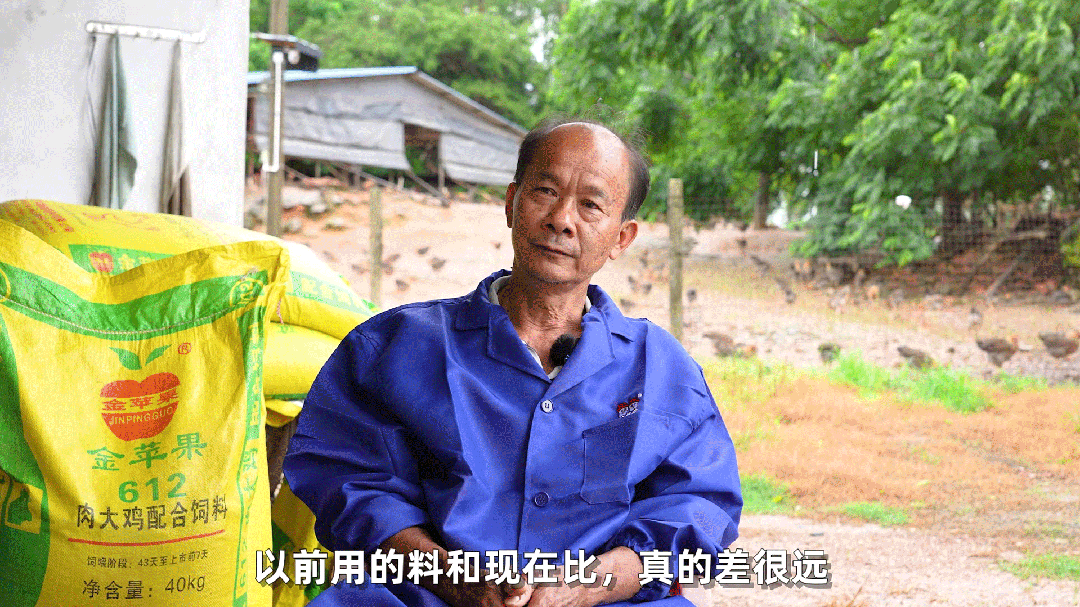 薄利多销、让利养户!双胞胎禽料引领高效养殖新时代,助力行业降本增效