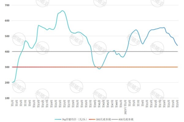 2024年-2025年全国7kg仔猪价格变化趋势