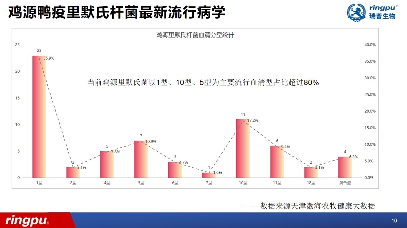 产蛋率低至50%！近年来多地高发！蛋鸡输卵管堵塞流行加剧，综合防控成焦点