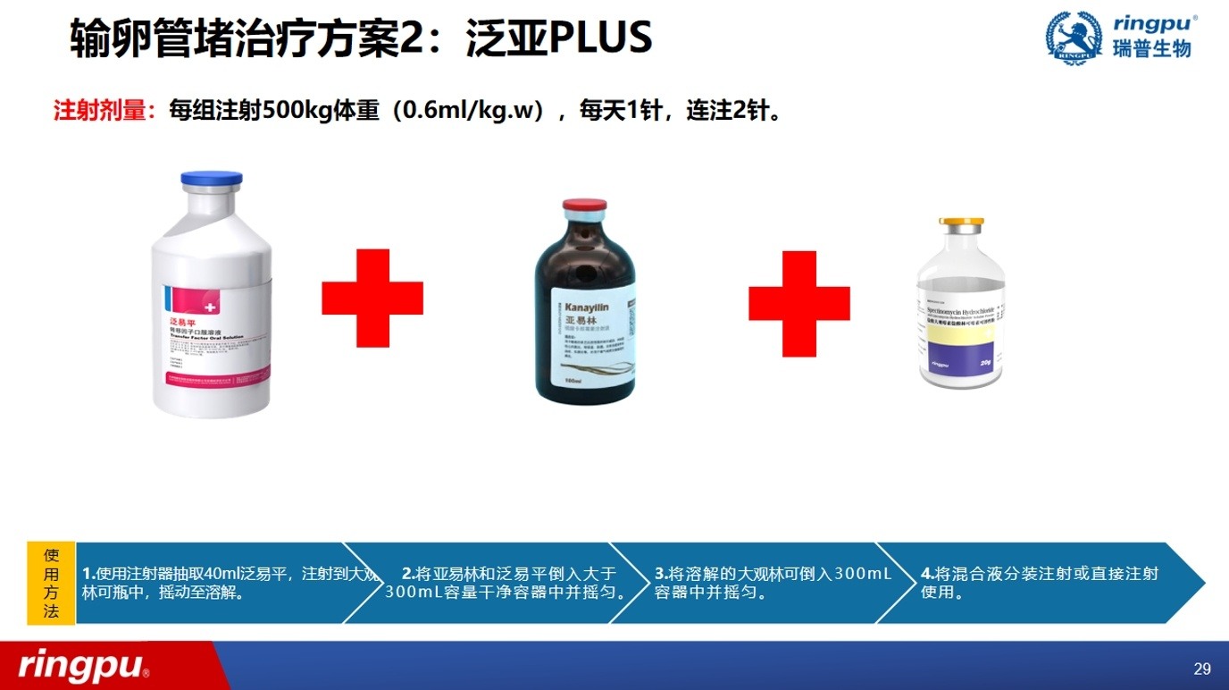 产蛋率低至50%！近年来多地高发！蛋鸡输卵管堵塞流行加剧，综合防控成焦点