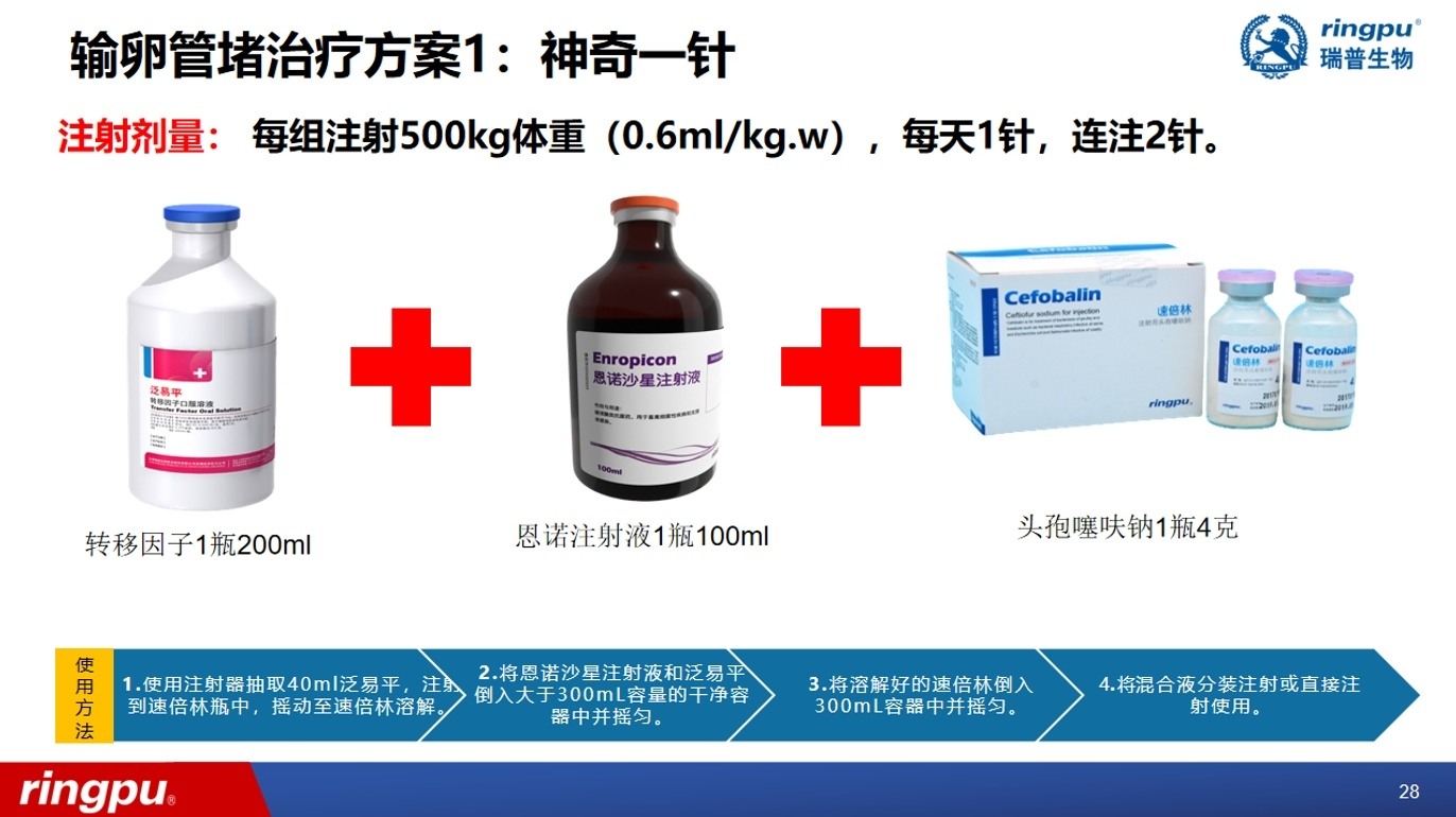 产蛋率低至50%！近年来多地高发！蛋鸡输卵管堵塞流行加剧，综合防控成焦点