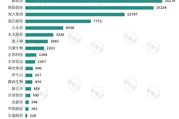 2024年头部养猪企业大学及以上学历员工数量