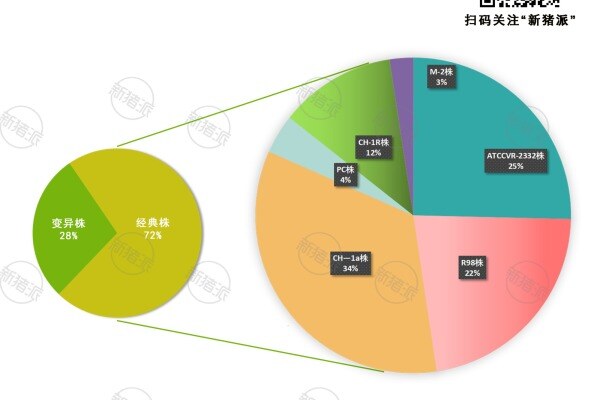 2023年蓝耳苗不同毒株市场占有率