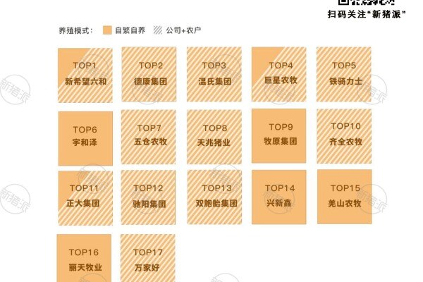 2024年四川省集团养猪企业发展模式