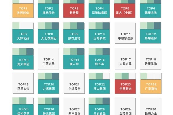 2024年集团养猪企业在广东省发展概况