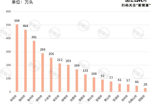 2023年安徽省各地市生猪出栏量