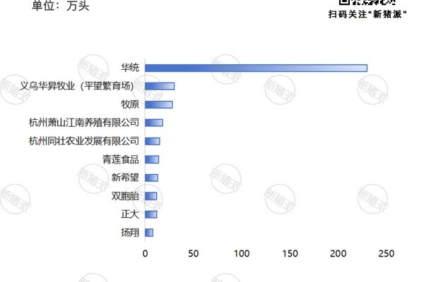 2023年浙江省集团养猪企业生猪出栏量