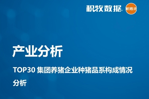 【行业分析】TOP30集团养猪企业种猪品系构成情况分析