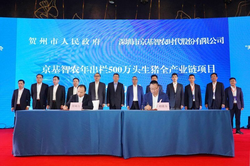 剑指1000万头生猪出栏!京基智农将在贺州等地建供深食品基地