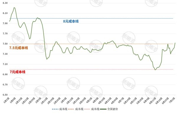 2025年上半年全国猪价走势分析