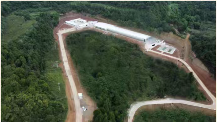 四川凤芯农业祖代场喜报:海赛克斯产蛋率突破97.9%,铸就种业新标杆!