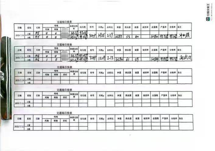 四川凤芯农业祖代场喜报:海赛克斯产蛋率突破97.9%,铸就种业新标杆!