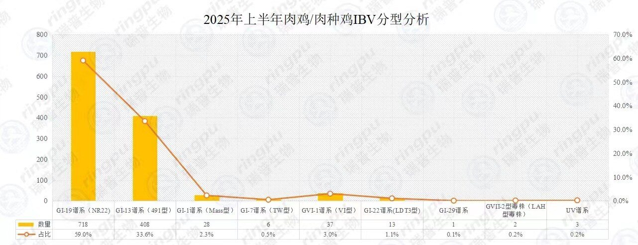 【白羽肉鸡篇】2025年上半年RHM健康大数据及疫病流行防控分析