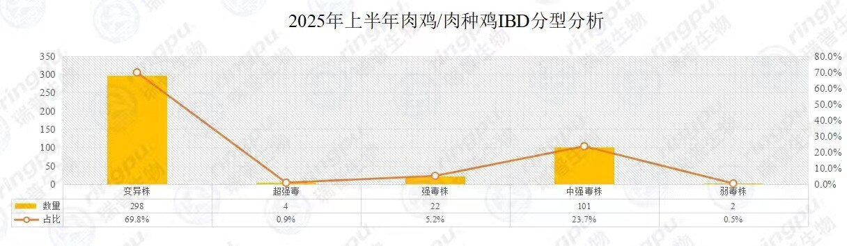 【白羽肉鸡篇】2025年上半年RHM健康大数据及疫病流行防控分析