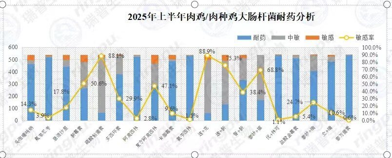 【白羽肉鸡篇】2025年上半年RHM健康大数据及疫病流行防控分析