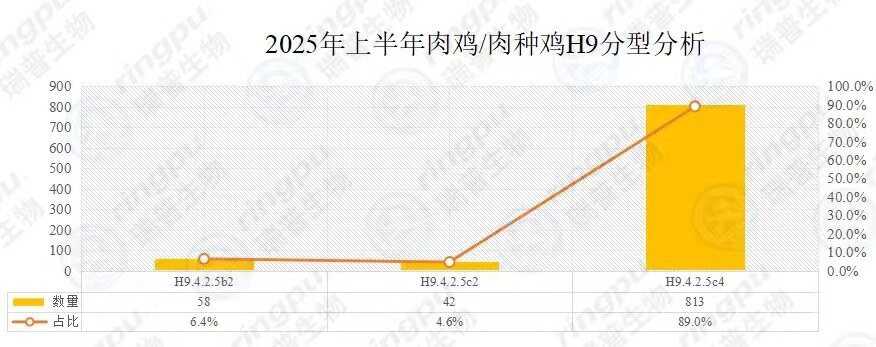 【白羽肉鸡篇】2025年上半年RHM健康大数据及疫病流行防控分析