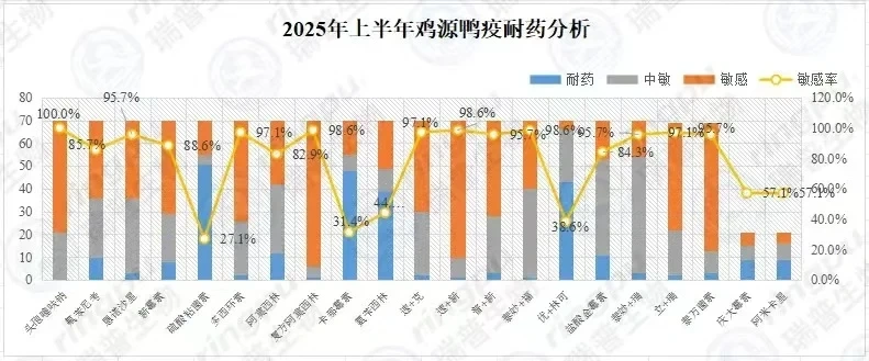 【白羽肉鸡篇】2025年上半年RHM健康大数据及疫病流行防控分析