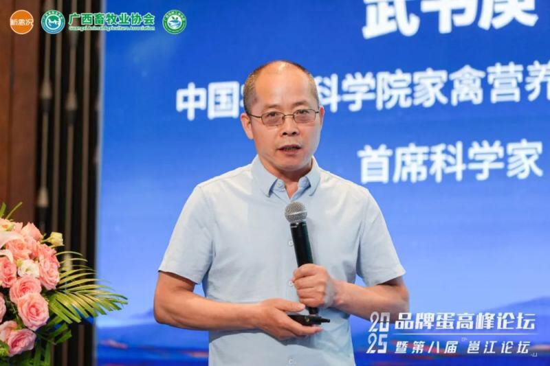 水印蛋发生率高达60%！守护产蛋后期“乳突层”是破局关键