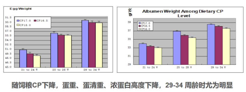 水印蛋发生率高达60%！守护产蛋后期“乳突层”是破局关键