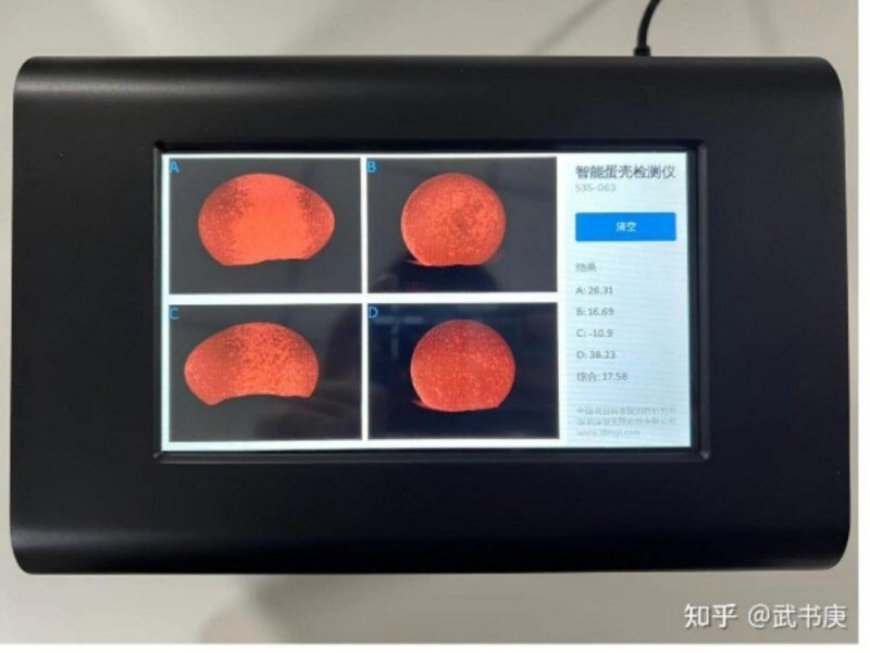 水印蛋发生率高达60%！守护产蛋后期“乳突层”是破局关键