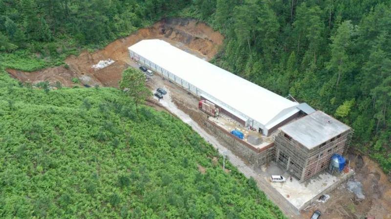 土鸡价格跌至“4”字头,蛋价已触底?华裕、厚全等又有新项目落地【正典生物·禽听要闻】