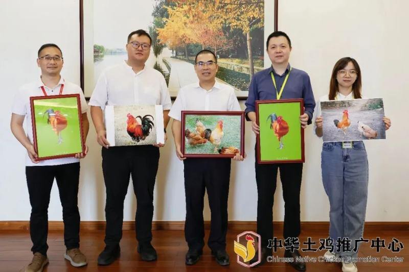 土鸡时装秀亮相外滩，百鸡宴破圈开席！温氏42周年庆把土鸡送上C位