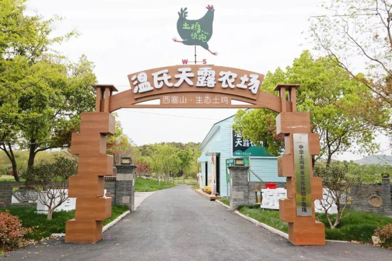土鸡时装秀亮相外滩，百鸡宴破圈开席！温氏42周年庆把土鸡送上C位